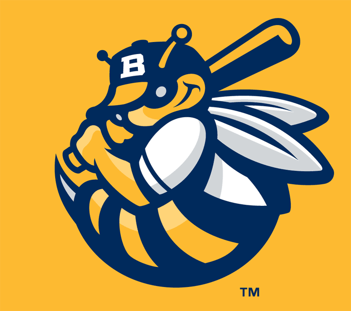 Burlington Bees 2007-Pres Cap Logo v4 iron on transfers for clothing